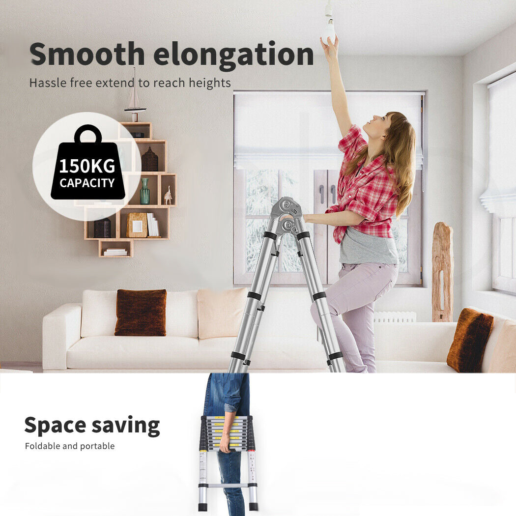 2.5M+2.5M Multi-Purpose Telescopic Ladder(Silver)